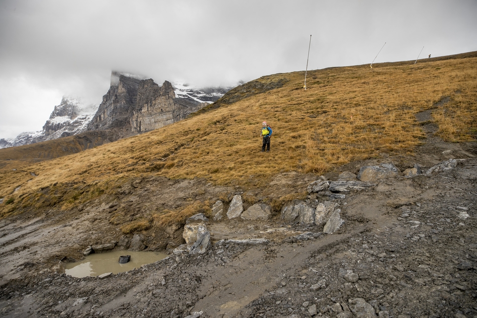 Mit Tümpeln wie diesem auf der blauen Piste lässt sich Wasser stauen und Erosionen vorbeugen. Die Tümpel dienen zum Beispiel Fröschen, Bergmolchen oder Erdkröten fürs Laichen. 